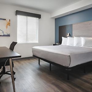 One-Bedroom King Suite